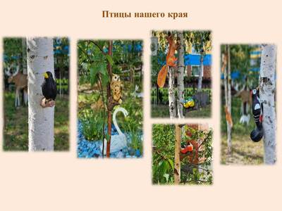 Птицы нашего края